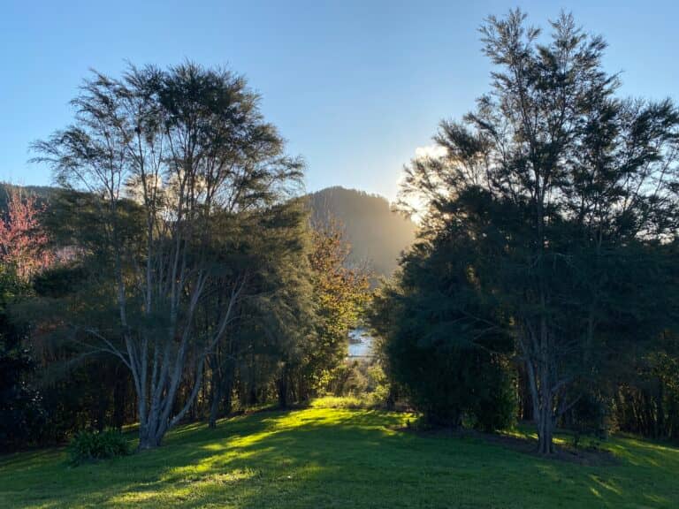 Landscape with Kaimai's in the background, trees on either side, and green grass.